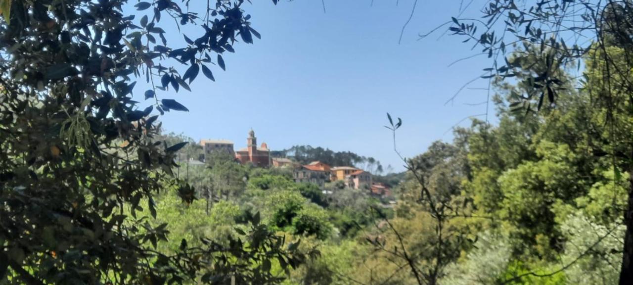 Vecchio Mulino Fontona Ortensia Chiesanuova  Exterior photo
